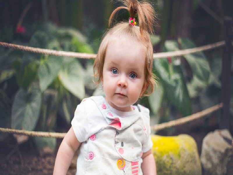 杭州哪个医院试管，给试管儿呃